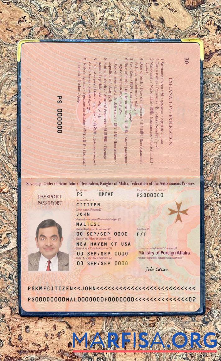 Printable Malta passport 2019 present photo look download for verification